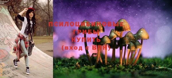 тгк Абаза