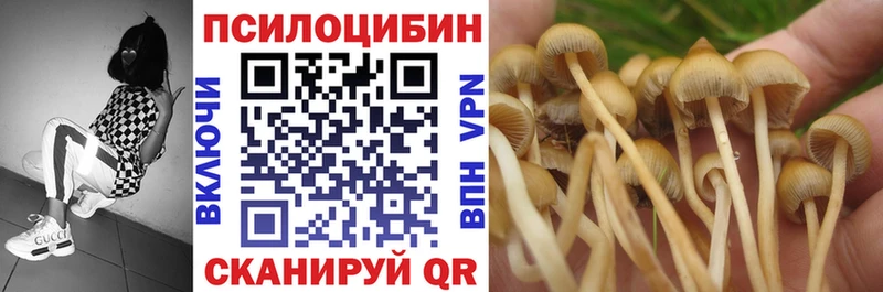 даркнет клад  наркошоп  Ленинградская  Галлюциногенные грибы Psilocybe 